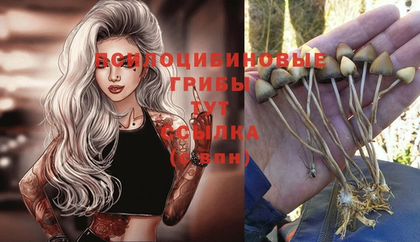 МДМА Арсеньев
