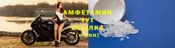 гидра Инсар