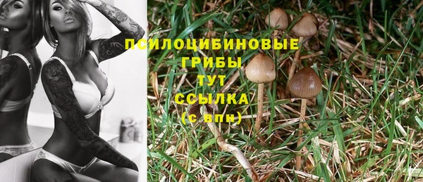 МДМА Арсеньев