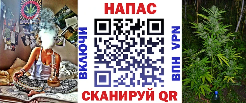 Марихуана план закладки Калач